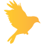 Trudobird