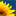 True-Light International GmbH