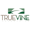 True Vine Apostolic Church