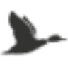 Truffleduck