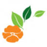 Tuincentrum Kolbach