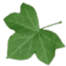 Garden center Sonneveld