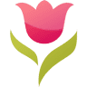 Tulipa Kft.