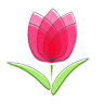 Tulipani Italiani Arese