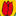 Tulipe