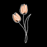 Tulipe Lifestyle Shop
