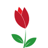 Tulip Kitchens
