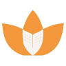 Tulips International School