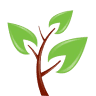 Tulip Tree Health Services