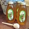 Tupelo Honey Florida
