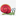 TURANZI Internetowy sklep zoologiczny, Importer karm MACs