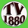 TV Klein Ilsede