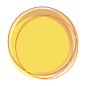 Twsolar Galicia