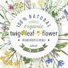 twig leaf flower llc