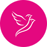 TWIN BIRDS