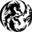 Twin Dragons Taekwondo