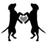 Two Dog Yoga Studio