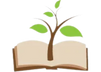 Discovery Montessori Academy, Allen