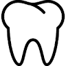 William G. Tylavsky, DMD