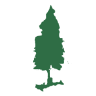 Tyler Arboretum