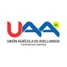 Unión Agrícola De Avellaneda - Bandera