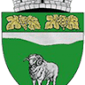 Primăria Ciuchici