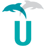 Gulf of Mexico University