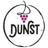 Uhudler-Weinbau DUNST