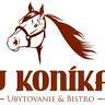 Pension & Restaurant U koníka Liptovský Ján