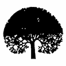 U Lípy