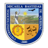 National University Micaela Bastidas of Apurimac UNAMBA