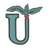 Undergrowth Coffee