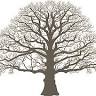 Under the Oak