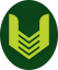 UNICS PLC, TSINGA