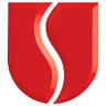 Unique Systems Inc