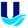 Unique International Corporation