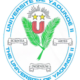Yaounde University II
