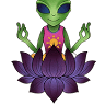 Unknown Yogi