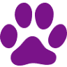 Urban Dog Petcare