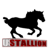 US Stallion