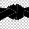 US Black Belt Academy / I H PARK's Martial Arts