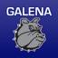 Galena Unified schools 499