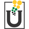 Albion Homework & Internet Cafe (USF)