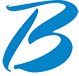 Bravo Arts Academy