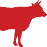 Vaca Loca