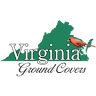 Virginia Ground Covers