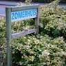 Vakantiewoning de stern