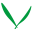 municipality Valkenswaard