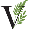 Valley and Vines