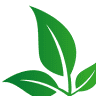 Dutch Quality Gardens van Ginkel tuinspecialisten